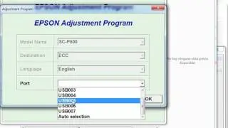 Reset Epson SureColor P600