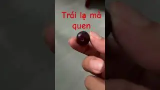 Bạn từng ăn trái này?