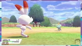 New Look! (Pokemon Sword: Episode 4)