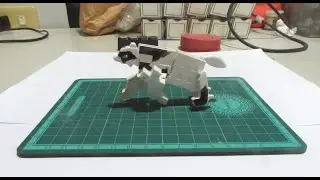 [狸] The Kanji Transformer : Raccoon Dog