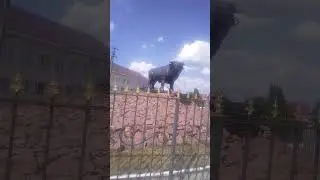 Малыш#