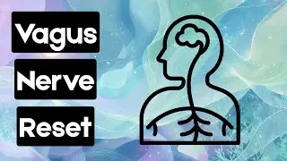 Vagus Nerve Reset | 528Hz Healing Meditation for Relaxation & Stress Relief