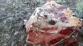 New deposit of Orsk JASPER
