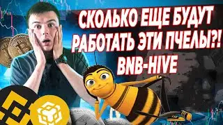 BNB-HIVE СКОЛЬКО ЕЩЕ БУДУТ РАБОТАТЬ ЭТИ ПЧЕЛЫ? ОБЗОР РЕГИСТРАЦИЯ И АНАЛИЗ ПРОЕКТА