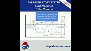 AQA GCSE PE Resting Tidal Volume
