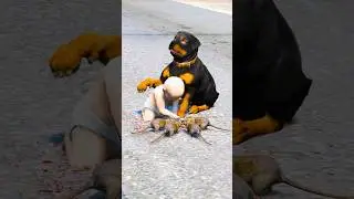 Dogs teach us love in its purest form | Part 182 |🥺