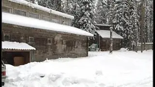 Лошадь напала на человека