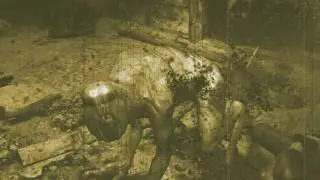 Metro 2033: Monsters overview (letters from Artyom)