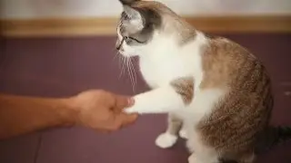 КитайЭтноЭксп. На конкурс