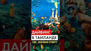 Дайвинг в Таиланде - где, сколько стоит?