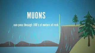 Muons in the Cathedral
