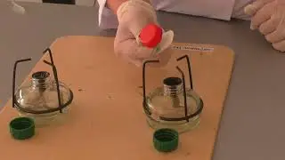 Саркулова Гулжан