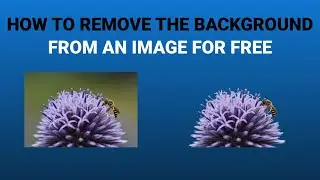 How to remove the background from an image and make it transparent