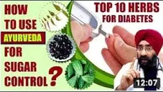TOP 10 Super Herbs to Reverse Diabetes   How to Use them to Control Sugar   Dr Education Eng