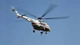 Не пингвины. Автор Г.Плюснина