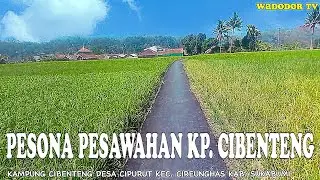 PESONA PESAWAHAN KP. CIBENTENG CIPURUT SUKABUMI | WADODOR AJEH