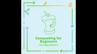 Composting for Beginners