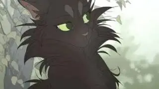 Коты-воители я словно монстер