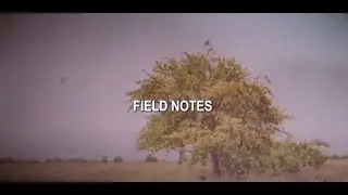 Owl City | Field Notes (Official Lyric Video) #FieldNotes #OwlCity