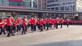 IAD 2014: Taoist Tai Chi(TM) arts on Yonge-Dundas Square