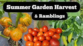 Harvest Days and Garden Ramblings Summer 2024