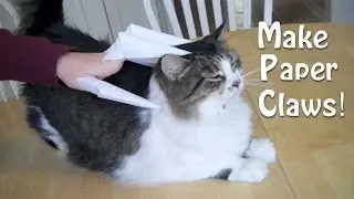 Paper Claws / Finger knives (Cats love these!)