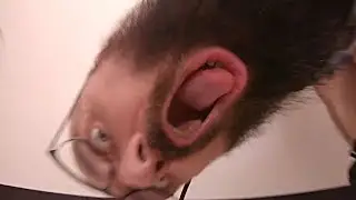 Vsauce-ception
