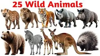 wild animals in english and hindi with pdf | जंगली जानवर | wild animals names | download pdf |