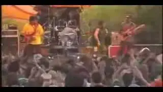 Toots & Maytals - A voir (live).avi