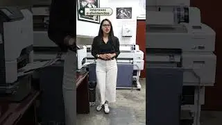 Declaración Anual 2023