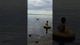 Выходные за городом
