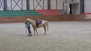 Рейнинг 10 11