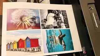 Epson Rtylus Photo R1900