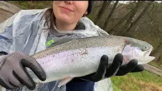 Angeln- vom Teich bis zur Pfanne 🐟 // TRIGGERWARNUNG BLUT/ INNEREINEN