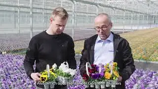 Delta Pro at grower Wouters | German