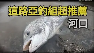 推薦這個路亞釣組超厲害 #河口 #社子島 #黑牛 #黑鯛