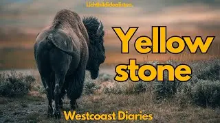 Yellowstone  - Westcoastdiaries 27