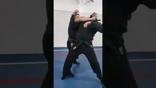 Tonfa against aggressor #ninjutsu #shadowwarrior #bujinkan #ninja #tonfa #policebaton #police #baton