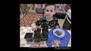 Районная  конференция  "С наукой в будущее", Кондратенко Максим