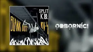 Odborníci