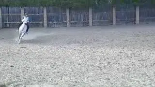 конный клуб Конфидо
