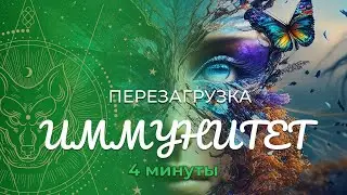 Медитация «Перезагрузка» :: Иммунитет :: Та Рей
