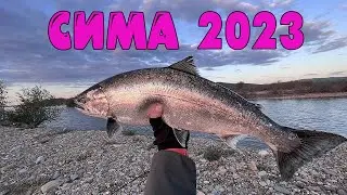 Сима 2023 Тернейский район