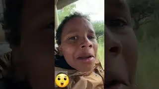 Would you Pet a Cheetah In Africa 😲 #shorts #mrbeast