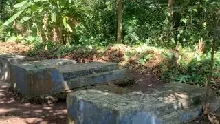 OKULIMA EBIJJA KIKULU NNYO,ENSI GWEYASOBEERA ERA NGA ONONYA EMIREMBE DDAYO KU BIJJA BYA BA JAJJA BO.