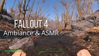 Let's Bath in Fallout 4 - Horror Ambiance ASMR (No Talking, In-Game Sound with Music) #01