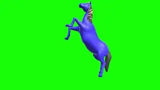 Horse Idle B Multi Color  Green Screen Video Footage Free 