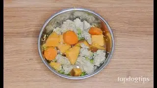 Homemade Dog Food for Itchy Skin