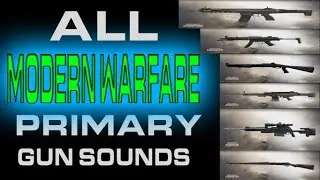 What every PRIMARY gun sounds like in MODERN WARWARE 2019 IN 2022!