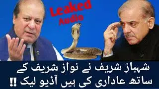 Shahbaz Sharif did fraud with Nawaz Sharif
